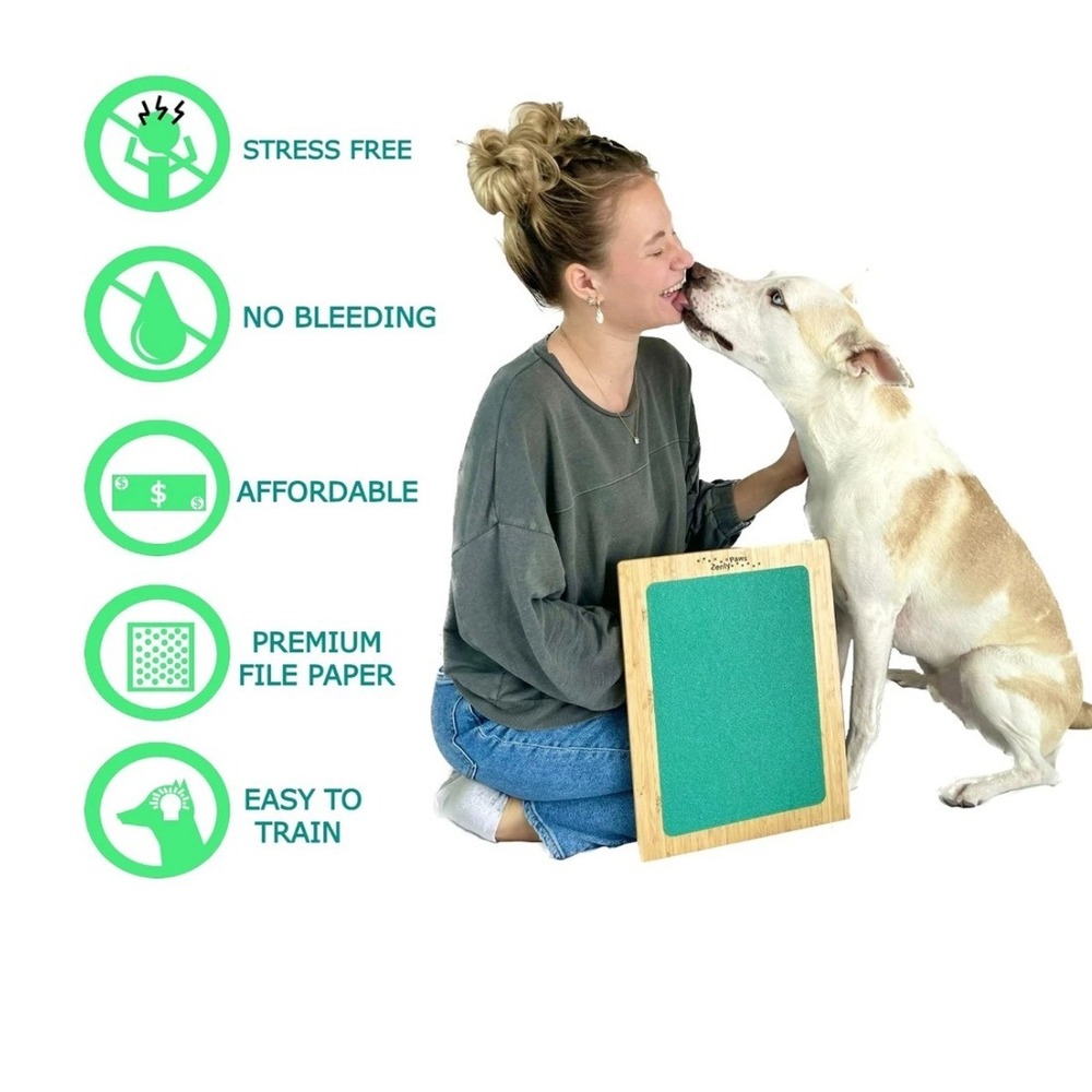 Zenly Paws Bamboo Dog Nail Scratch Board Green with 2 Replacement‎ Pads - Picture 9 of 12